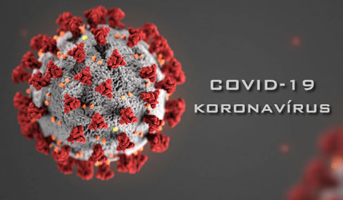 How has Coronavirus affected TheG?